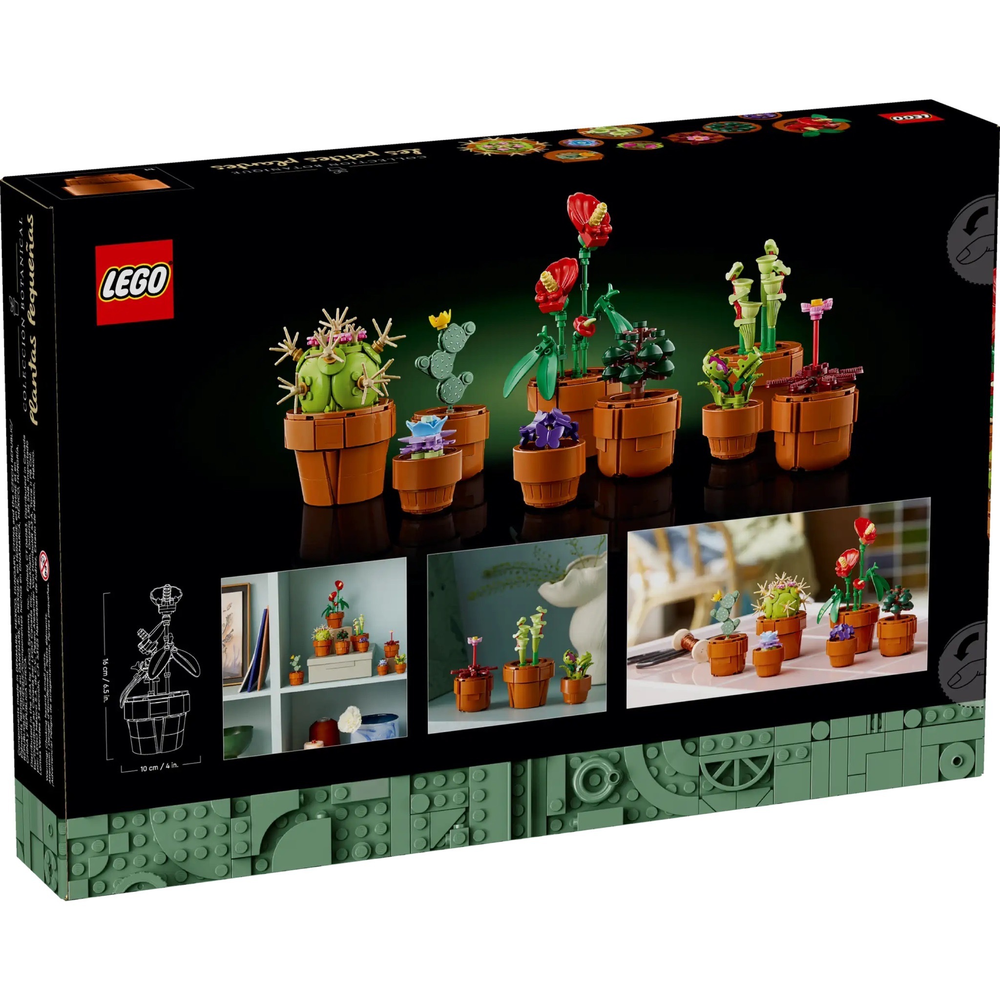 迷你盆栽 Tiny Plants 照片2