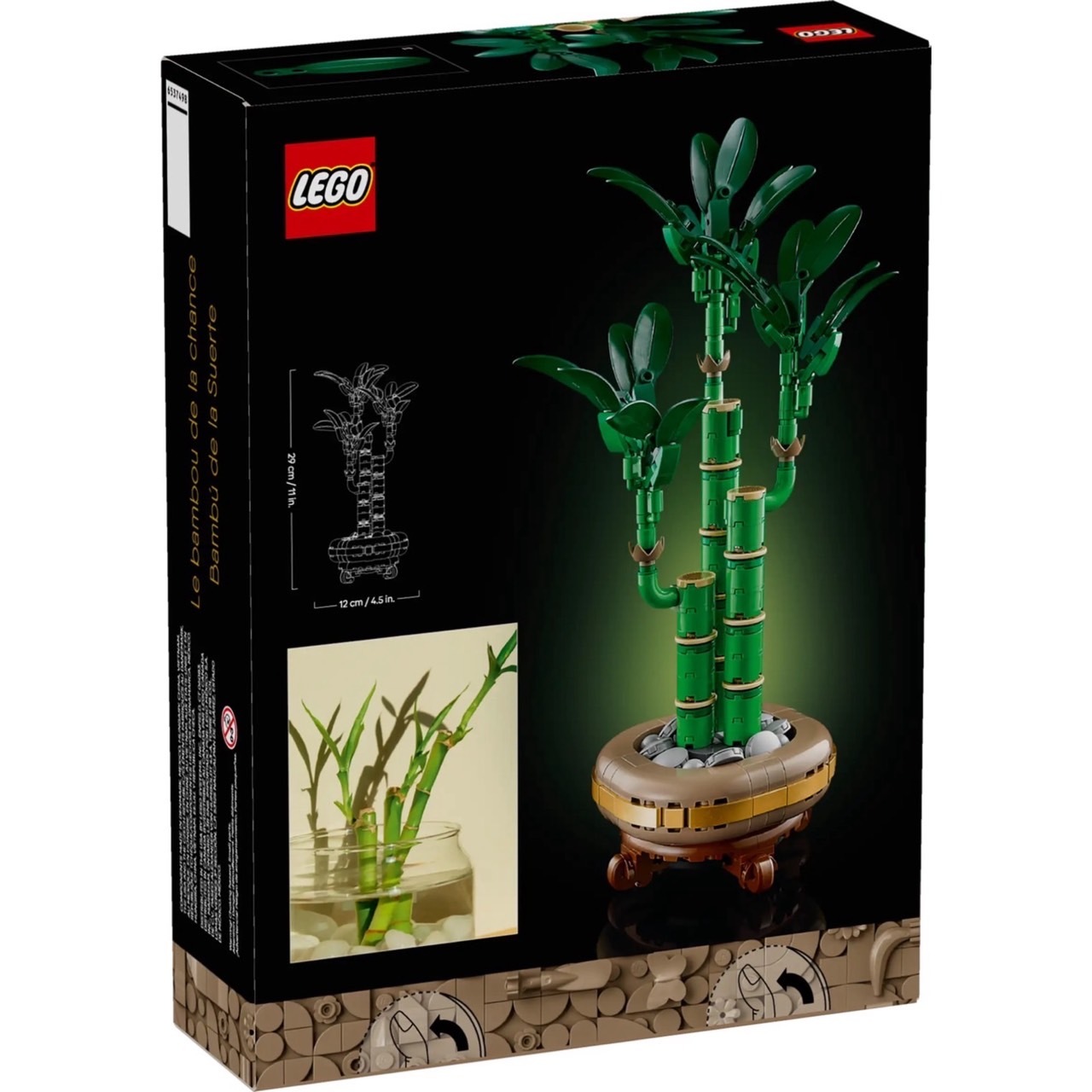 開運竹 Lucky Bamboo 照片2