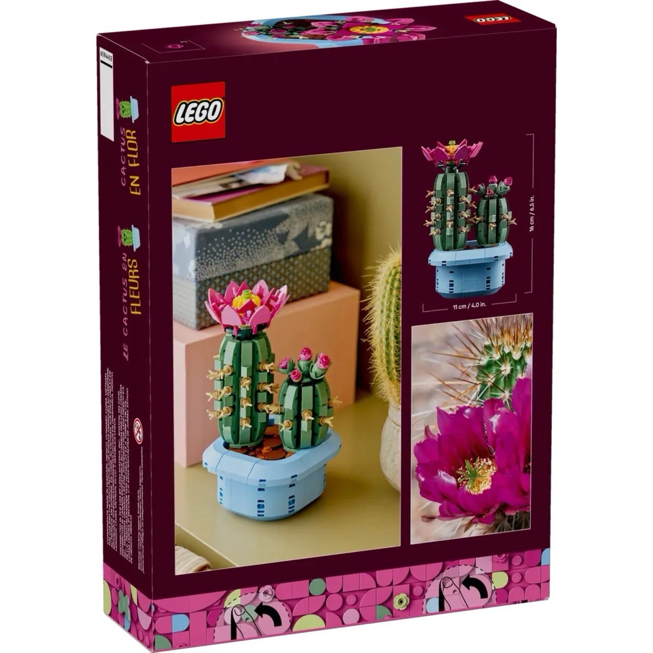開花仙人掌 照片2