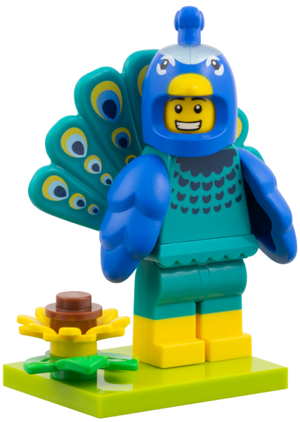 Peacock Costume Fan